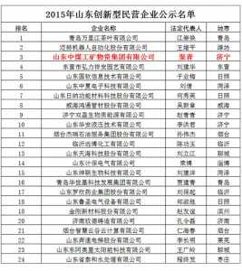热烈祝贺我集团入选2015“山东创新型民营企业”
